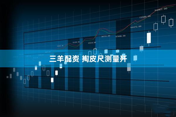 三羊配资 掏皮尺测量歼